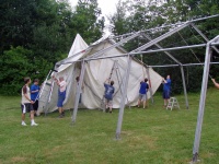 Plants: Bild 1 von 4 thumb