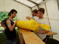 Plants: Bild 3 von 4 thumb