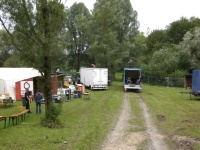 Plants: Bild 1 von 4 thumb