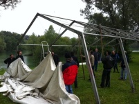 Plants: Bild 1 von 4 thumb