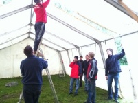 Plants: Bild 2 von 4 thumb