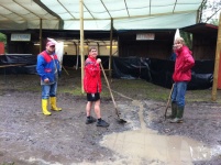 Plants: Bild 3 von 4 thumb